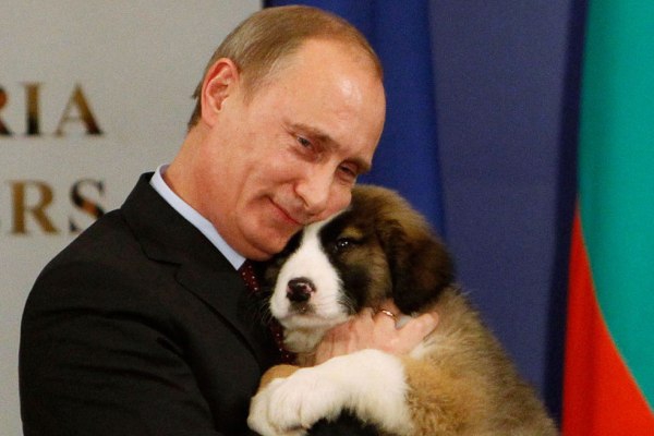 Собаки Мариуполя запели гимн России (ВИДЕО)