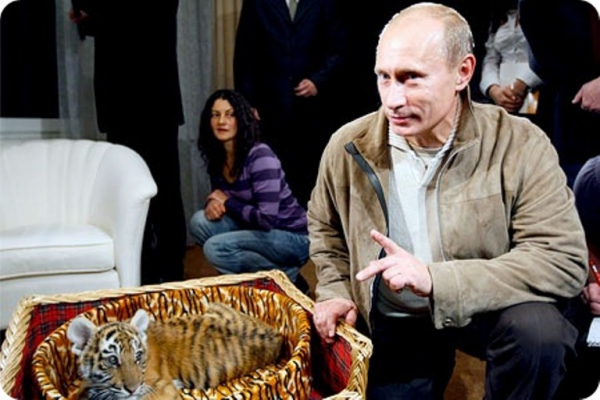 Усыплять русских детей в «Спокойной ночи, малыши» будет 3D-тигренок Путина