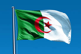 В Алжирі на мітингу проти цензури заарештували десятьох журналістів