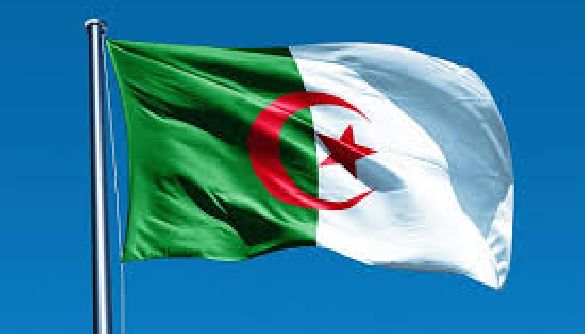 В Алжирі на мітингу проти цензури заарештували десятьох журналістів
