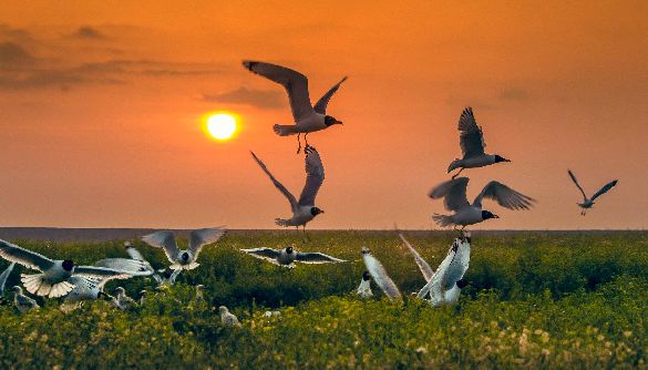 Українська програма на Docudays: право реагувати душею Українська програма на Docudays: право реагувати душею