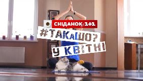 &laquo;1+1&raquo; запускають вайни про гострі соціальні проблеми у ранковому шоу