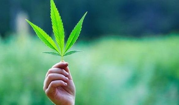 Наркотики як Бог із машини для українських комедій Наркотики як Бог із машини для українських комедій