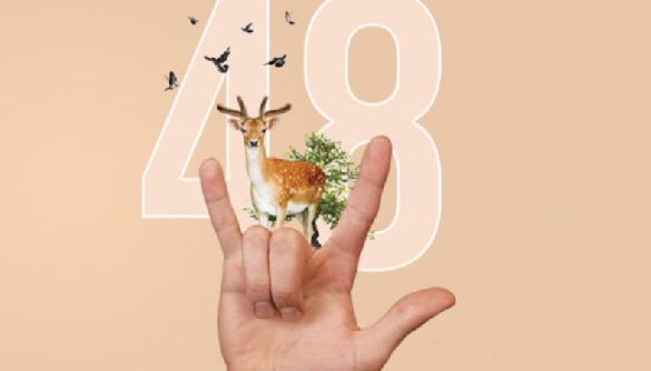 Фільми та події 48-ї &laquo;Молодості&raquo;. Радять кіноексперти