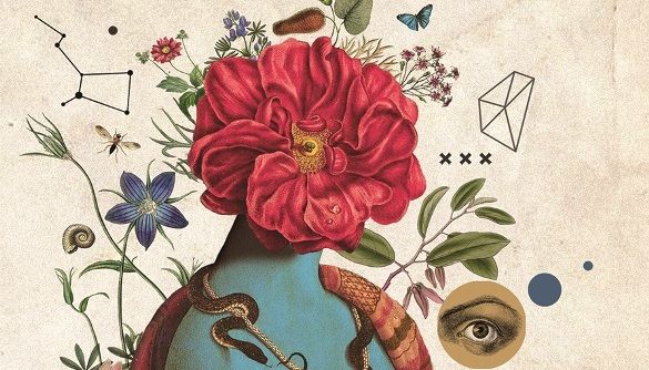 «Інструкція» для розуміння Марисі Нікітюк «Інструкція» для розуміння Марисі Нікітюк