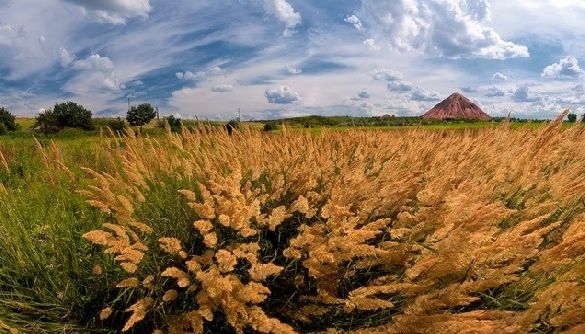 Донбас віддрейфував від решти України