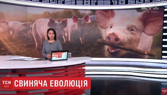 Реєстр сексу та реєстр трешу. Моніторинг теленовин 14&ndash;20 жовтня 2019 року