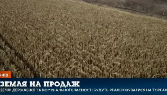 Із думкою про корову. Огляд порушень та маніпуляцій у тижневиках 15&ndash;17 листопада 2019 року