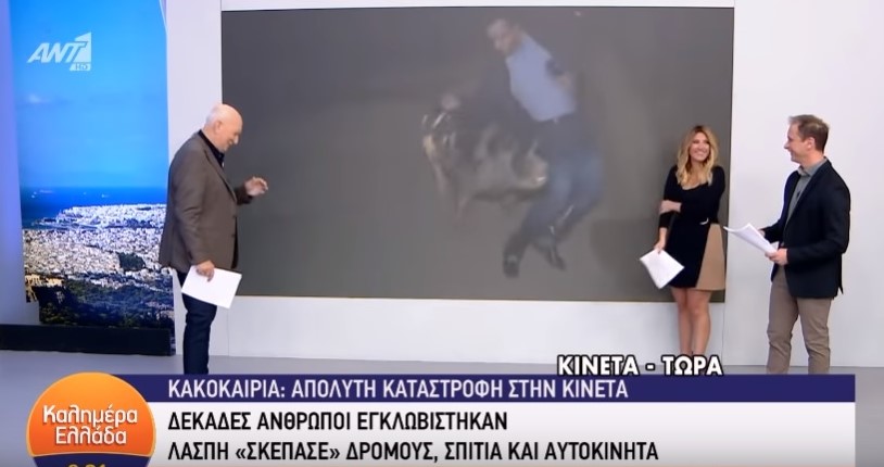 На грецького журналіста під час включення в прямому ефірі напала свиня