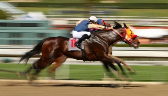Конкурс на управління УМХ: перегони темних конячок. Медіапідсумки 25–30 серпня 2020 року