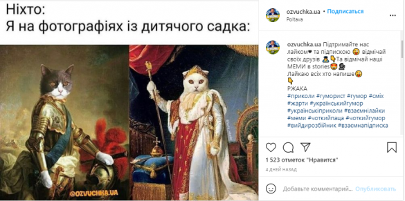 МЕМетр: аналіз візуального дезінформаційного дискурсу у Instagram