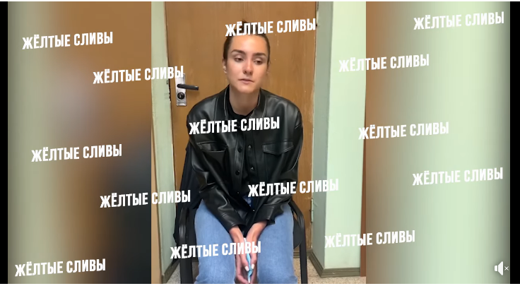 Опубліковано відео допиту затриманої дівчини Романа Протасевича Софії Сапеги