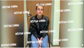 Опубліковано відео допиту затриманої дівчини Романа Протасевича Софії Сапеги
