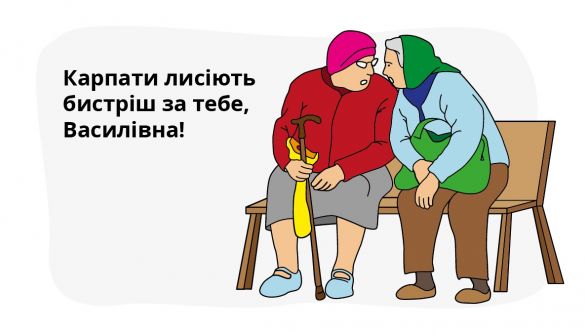 Тест на зраду: топ-5 міфів про ліси України