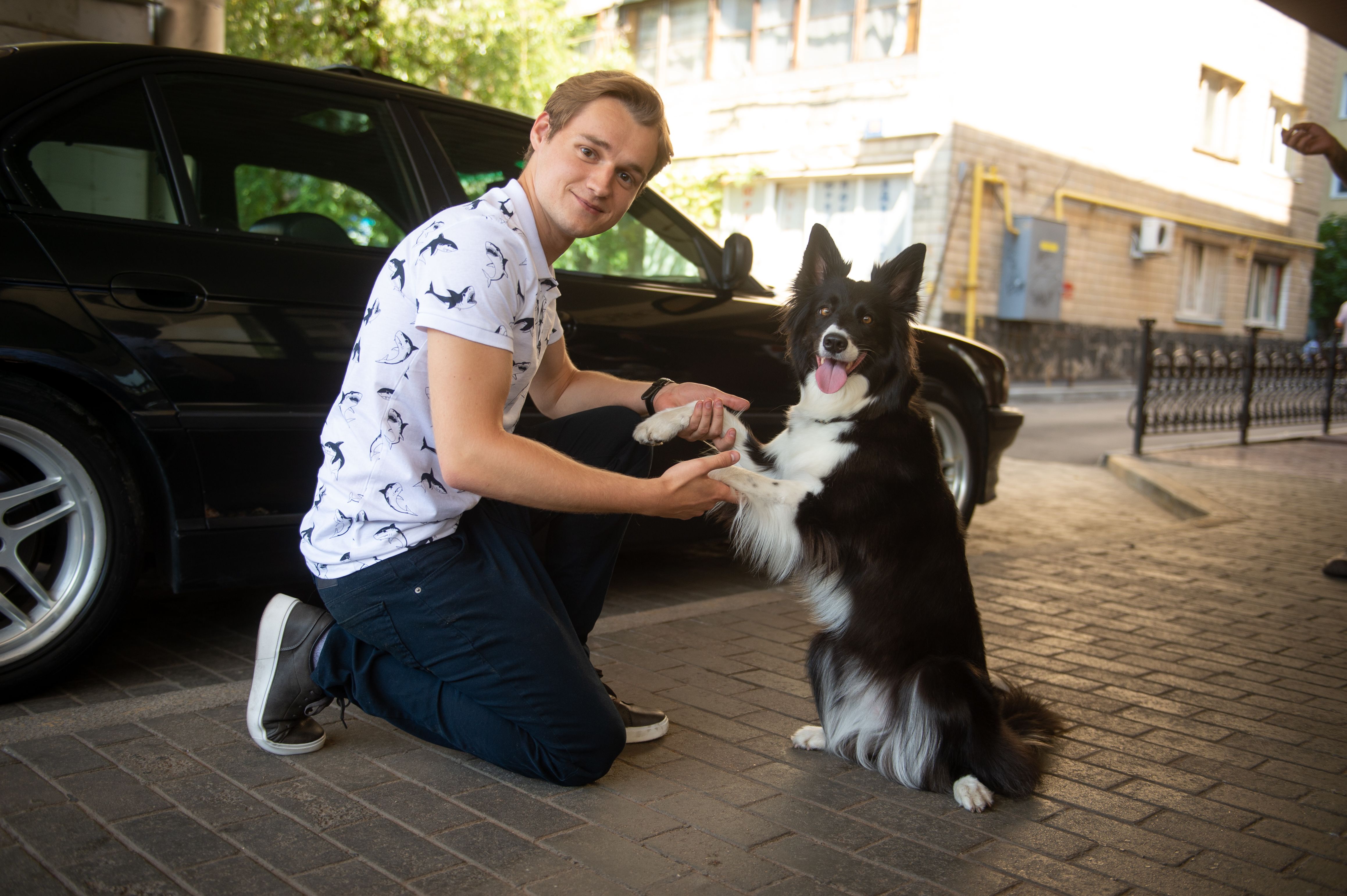 Новий канал знімає комедію про поліцейського та собаку і адаптує формат Younger