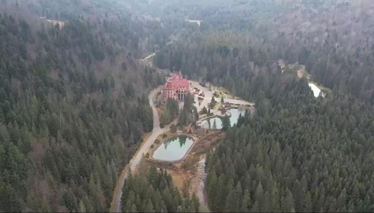 Звільнили охоронців, які не збили дрон журналістів-розслідувачів над держрезиденцією &ndash; Ткач