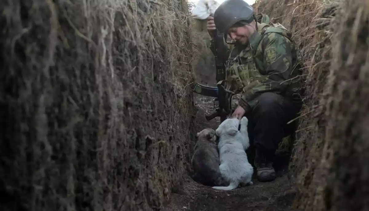 Фронтове фото українського журналіста потрапило в рейтинг найкращих світлин Reuters (ФОТО)