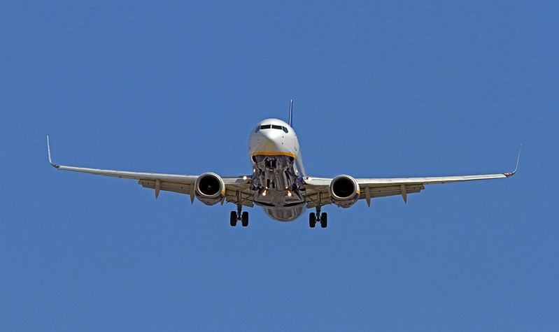 ICAO щодо примусової посадки літака з Протасевичем: Брехня про бомбу була навмисною