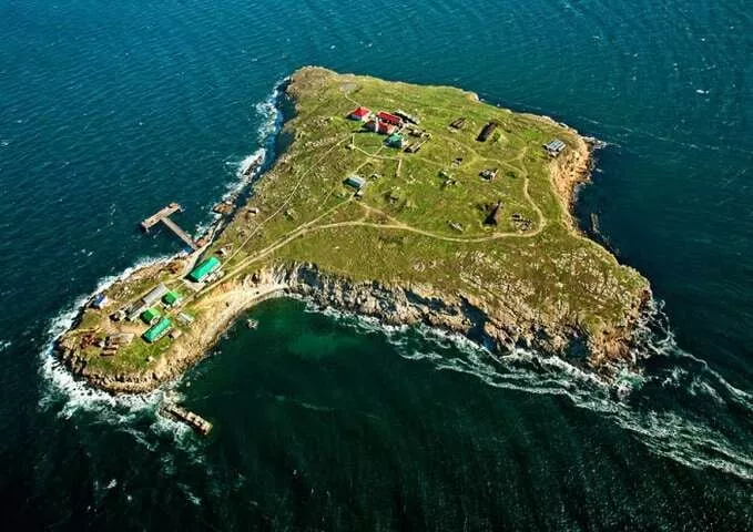 Захисники острова Зміїний живі – ВМС України