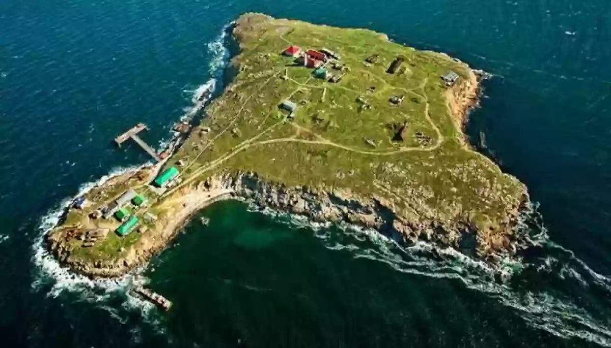 Захисники острова Зміїний живі – ВМС України