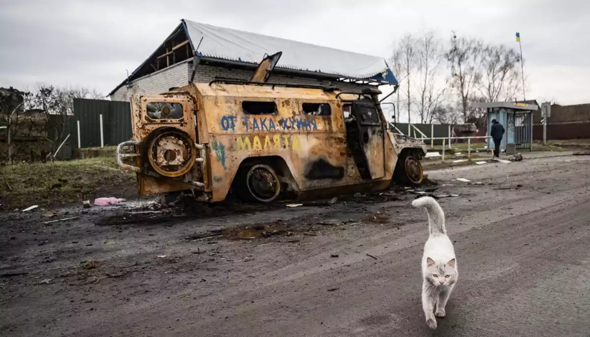 Все, що ми можемо зробити, — це фотографія