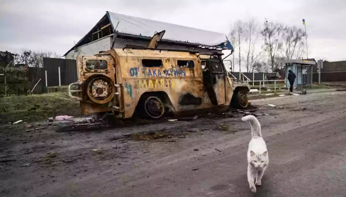 Все, що ми можемо зробити, — це фотографія