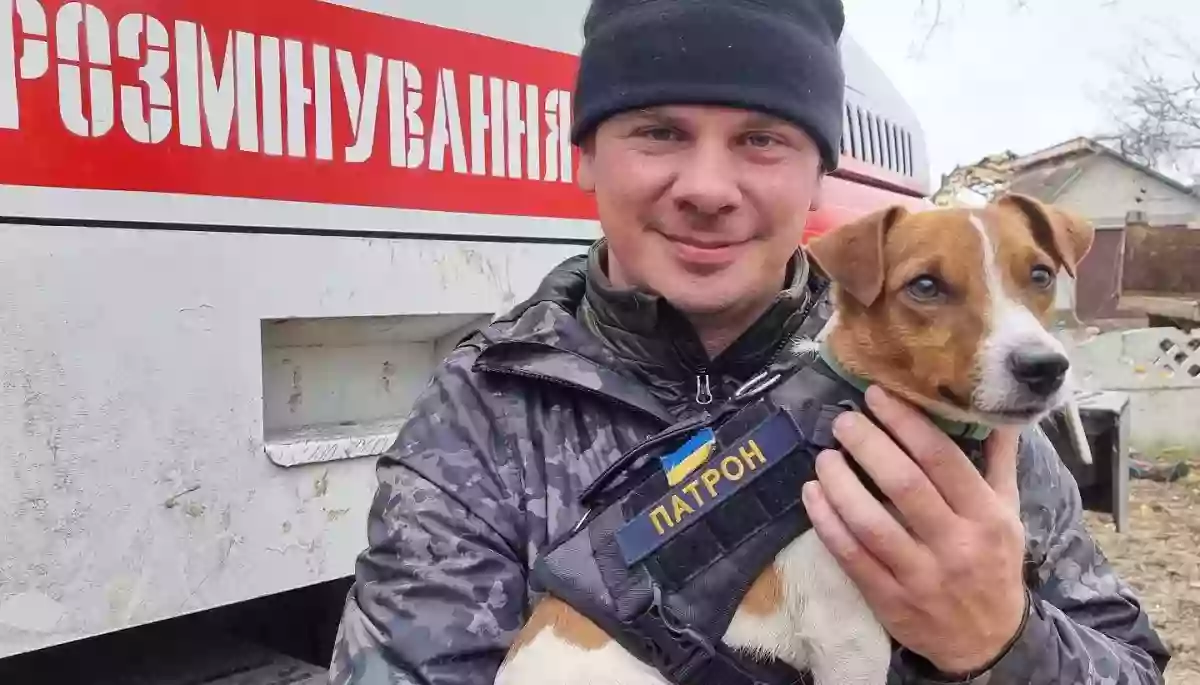Дмитро Комаров про заборону в&rsquo;їзду до Росії: Тільки на пенсії буде шанс зняти дикі племена в болотах Підмосков'я