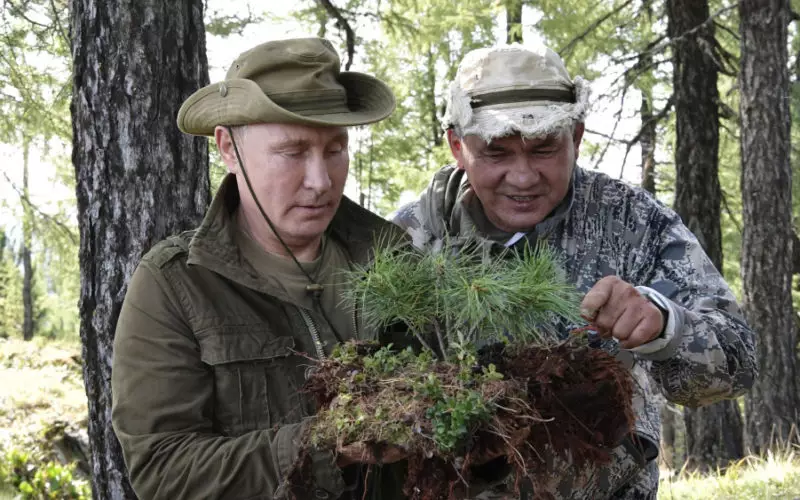 Шойгу стане лісорубом всєя Русі: дайджест російської пропаганди за 17 травня