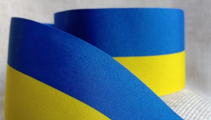 У Білорусі журналістку судитимуть за синьо-жовті стрічки на сумці та фотоапараті