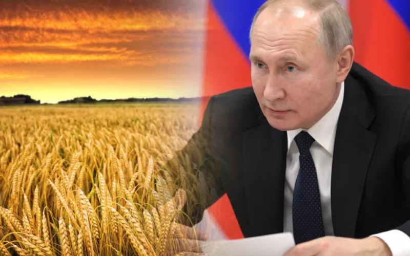 Українське зерно путінської брехні: дайджест російської пропаганди за 8 червня
