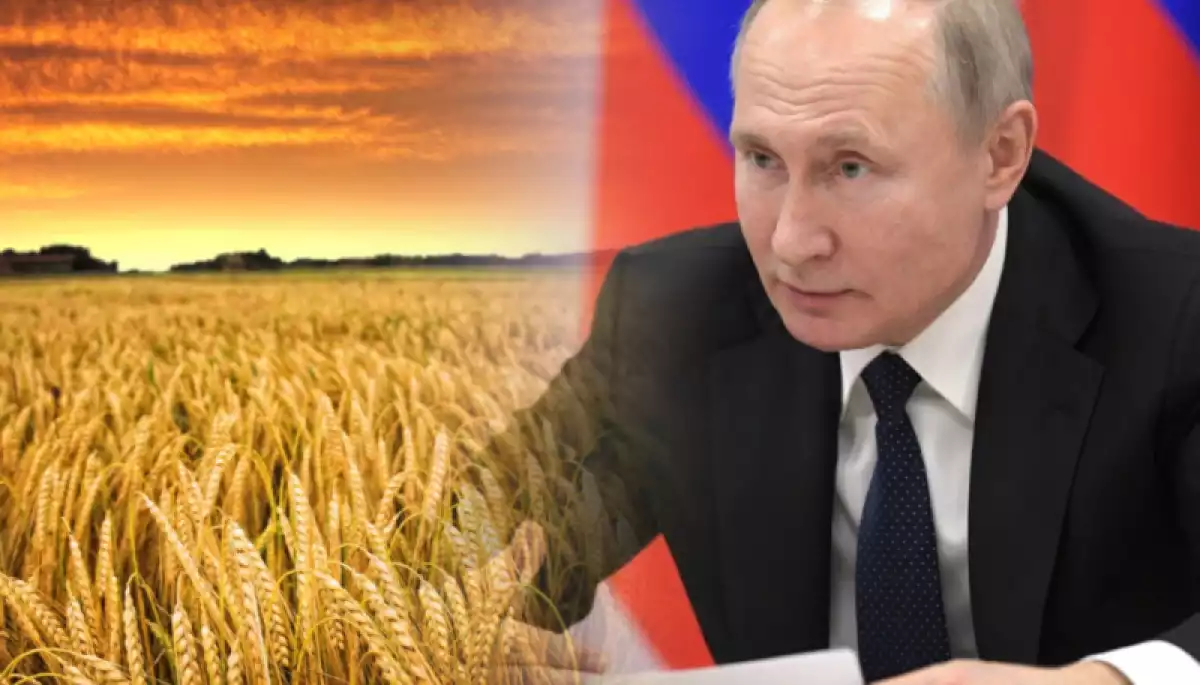 Українське зерно путінської брехні: дайджест російської пропаганди за 8 червня