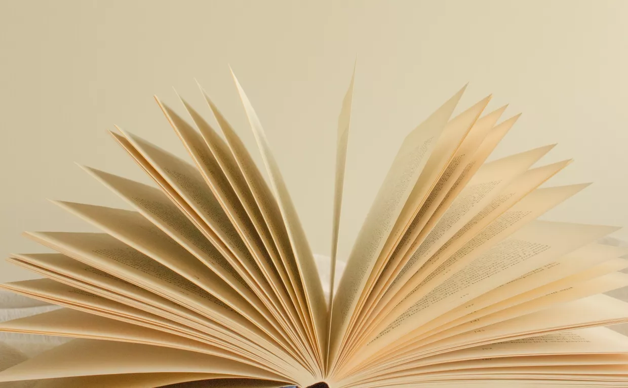 Непідписання закону про заборону російських книжок збільшує кількість контрафактних та піратських видань &ndash; Красовицький