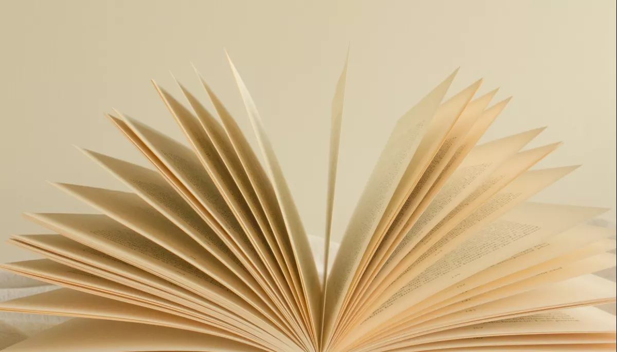 Непідписання закону про заборону російських книжок збільшує кількість контрафактних та піратських видань &ndash; Красовицький
