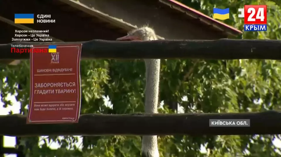 Хакери зламали трансляцію пропагандистського каналу &laquo;Крым 24&raquo;