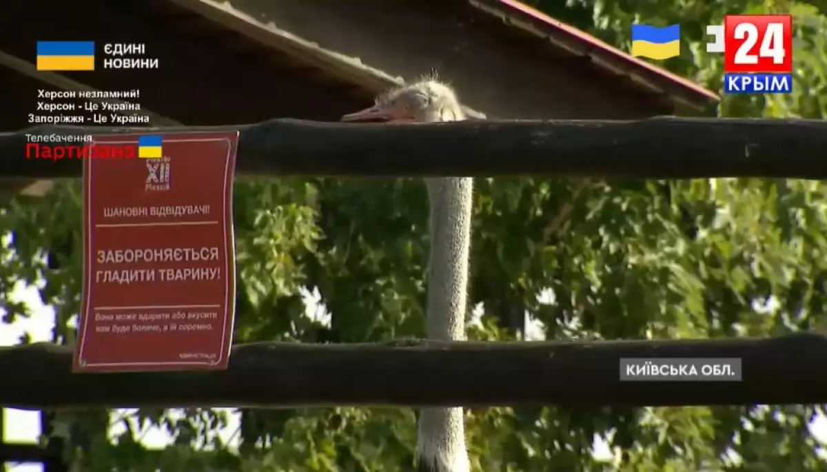 Хакери зламали трансляцію пропагандистського каналу &laquo;Крым 24&raquo;