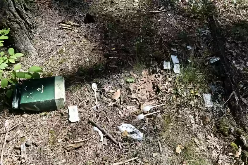 Арно Фроже з &laquo;Репортерів без кордонів&raquo;: фрагменти ДНК можуть допомогти знайти вбивць Макса Левіна