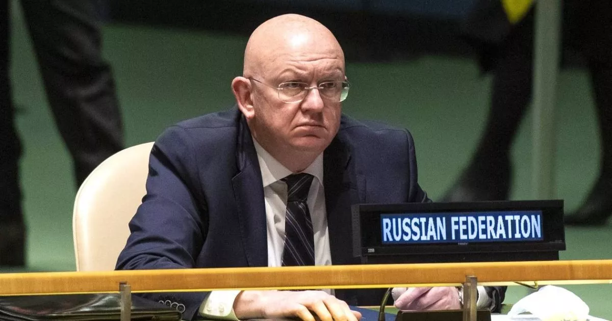 &laquo;Лікувати пацієнта вже запізно&raquo;. Росія в ООН поширила фейк про &laquo;бойових комарів&raquo; американців