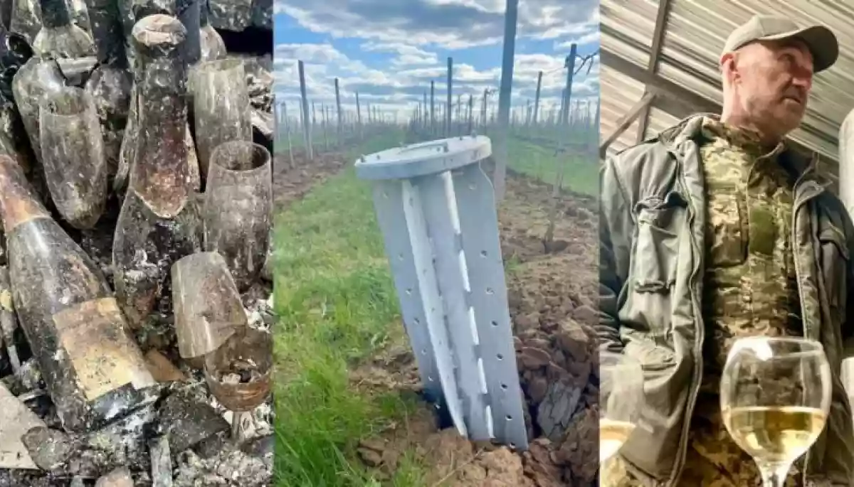 У Києві відбудеться прем'єра стрічки про українське виноробство, знятої у квітні 2022