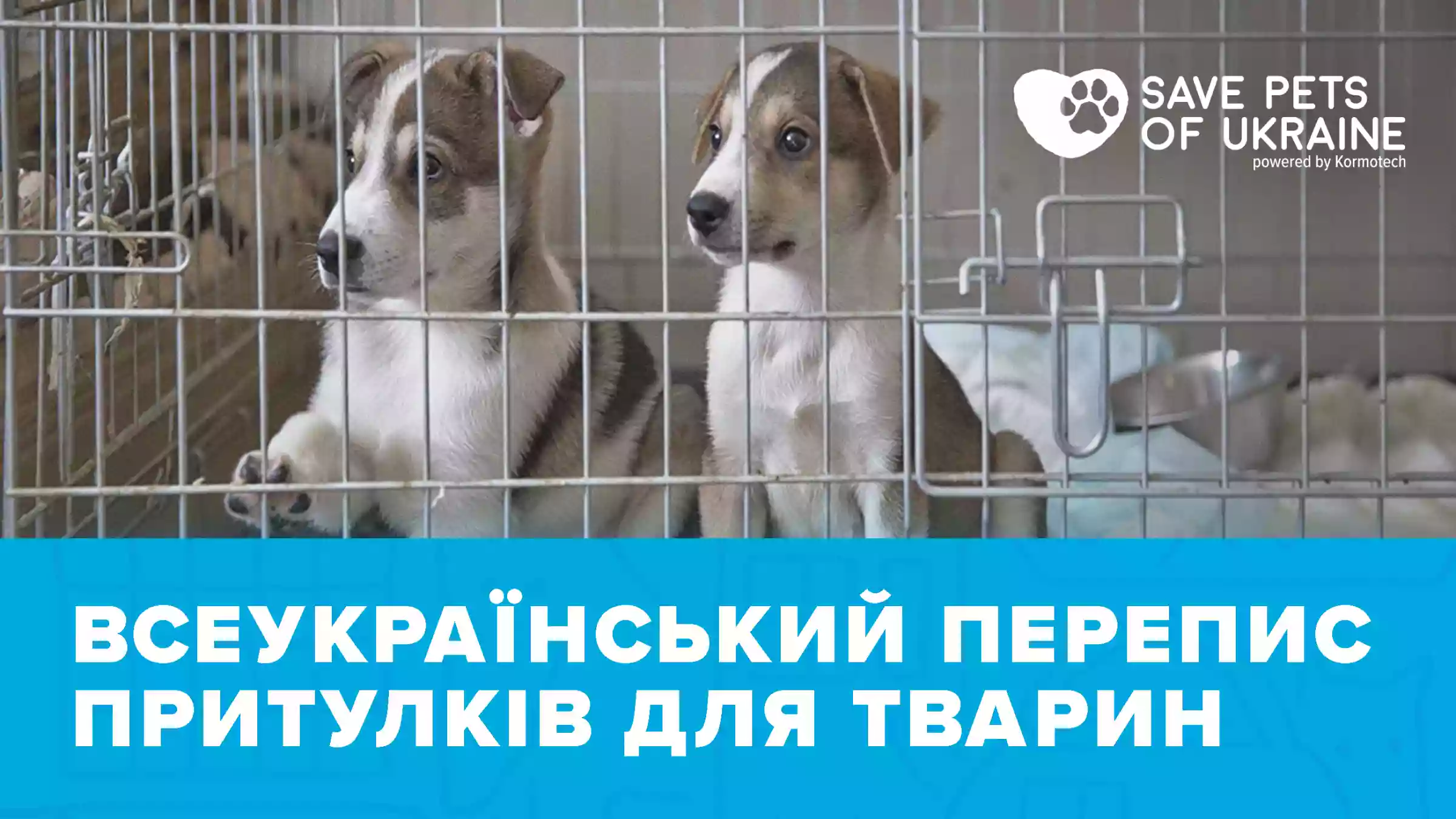 Великий перепис притулків для тварин