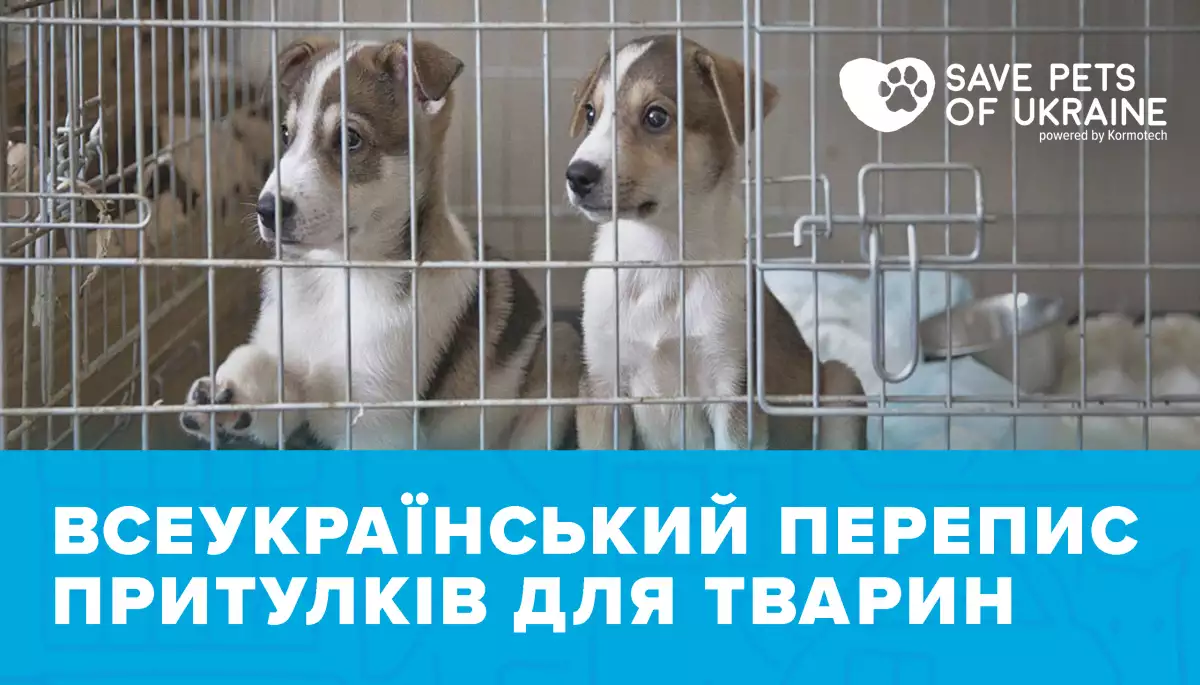 Великий перепис притулків для тварин
