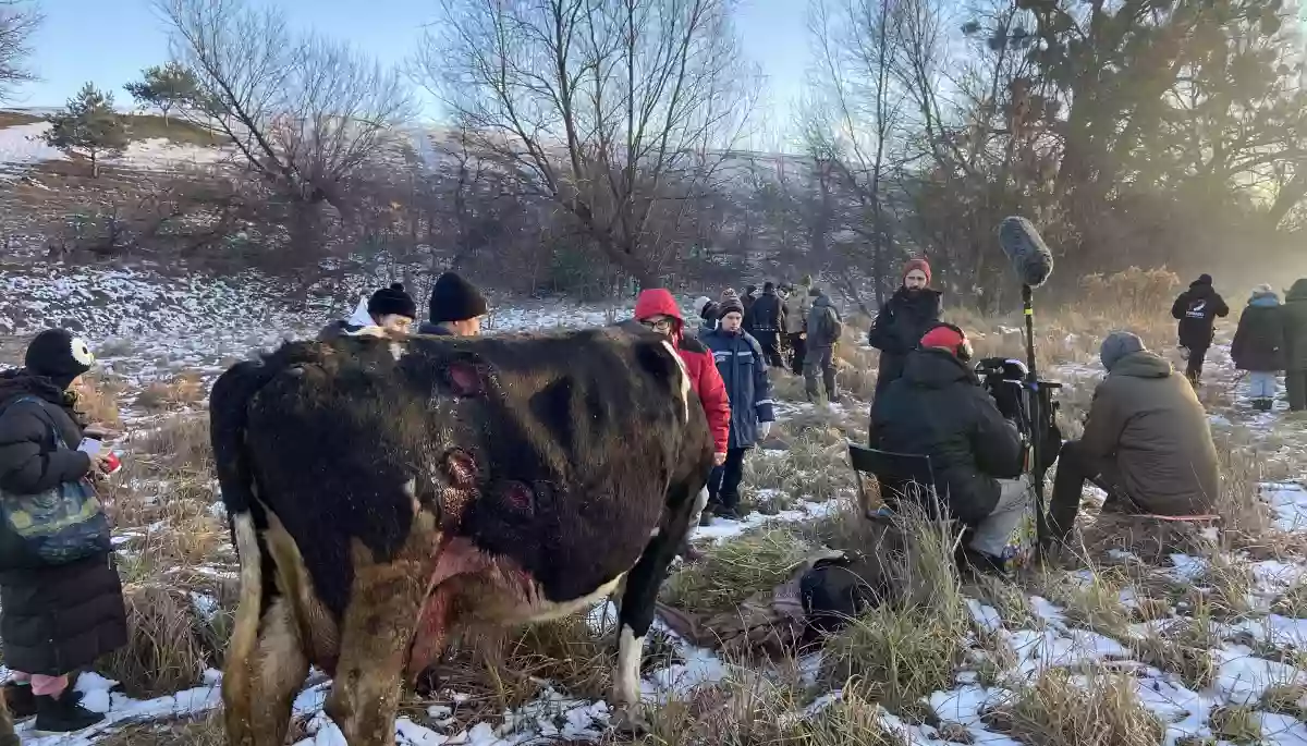 &laquo;Війна очима тварин&raquo;: на Берлінале-2023 покажуть перші три новели кіноальманаху