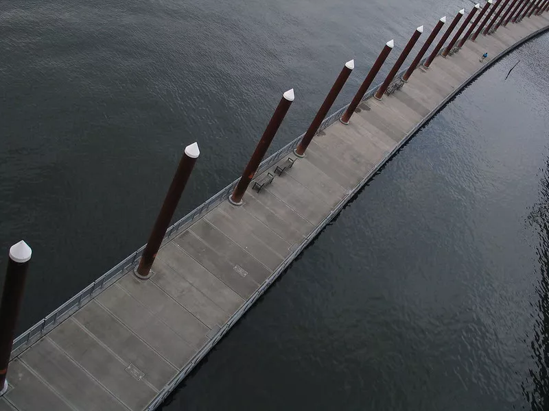 Сила гнилої моркви
