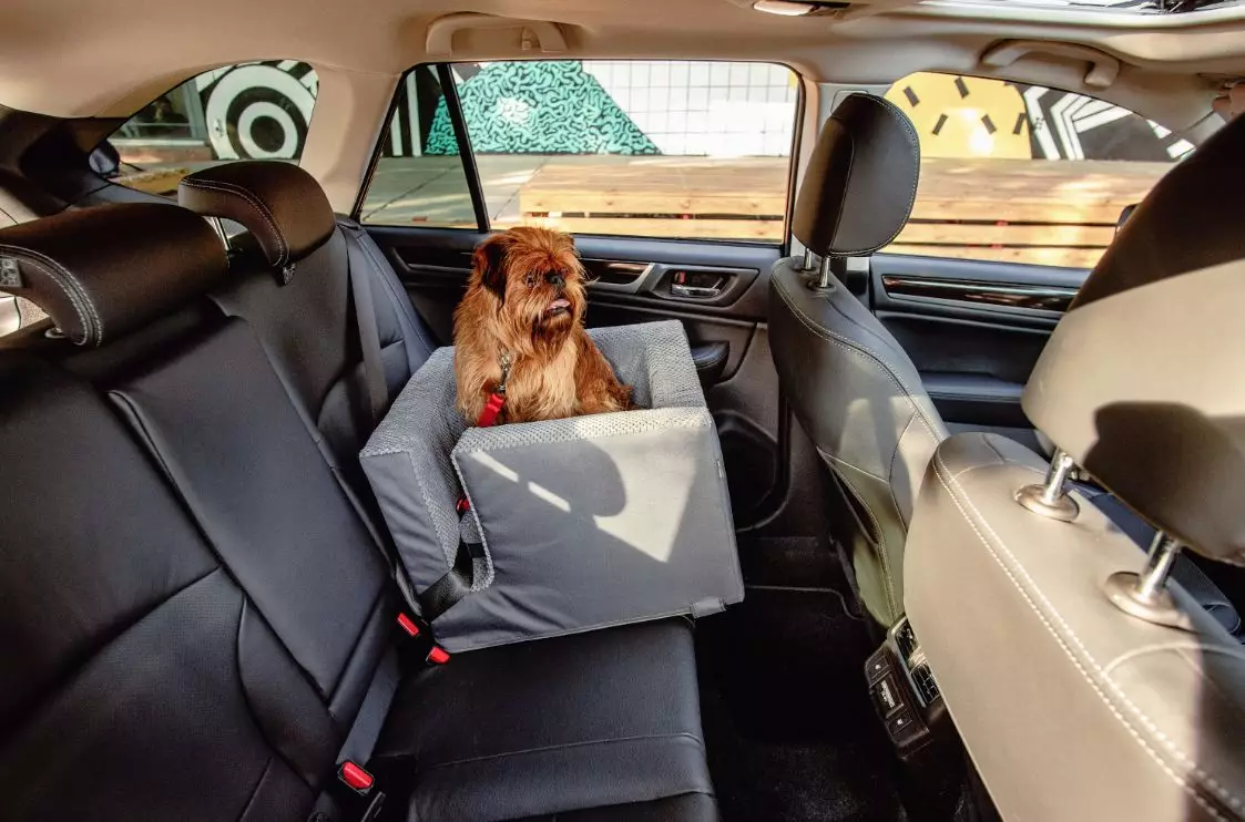 Автокрісла для собак від Harley & Cho: Безпека та комфорт для вашого пухнастого пасажира на дорозі