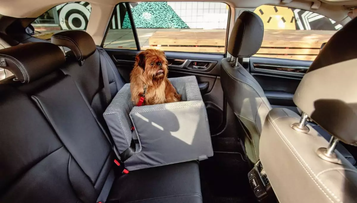 Автокрісла для собак від Harley & Cho: Безпека та комфорт для вашого пухнастого пасажира на дорозі