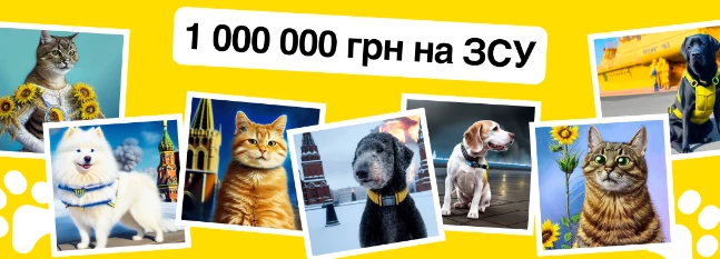 Домашні улюбленці зможуть задонатити на ЗСУ: фонд KOLO запускає  influencer-кампейн
