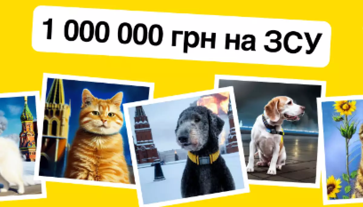 Домашні улюбленці зможуть задонатити на ЗСУ: фонд KOLO запускає  influencer-кампейн