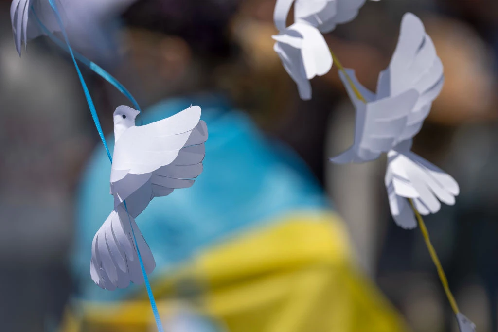 Рефлексія про &laquo;акулу&raquo;: Для мене це чомусь не про гуманізм, а про дещо подвійні стандарти
