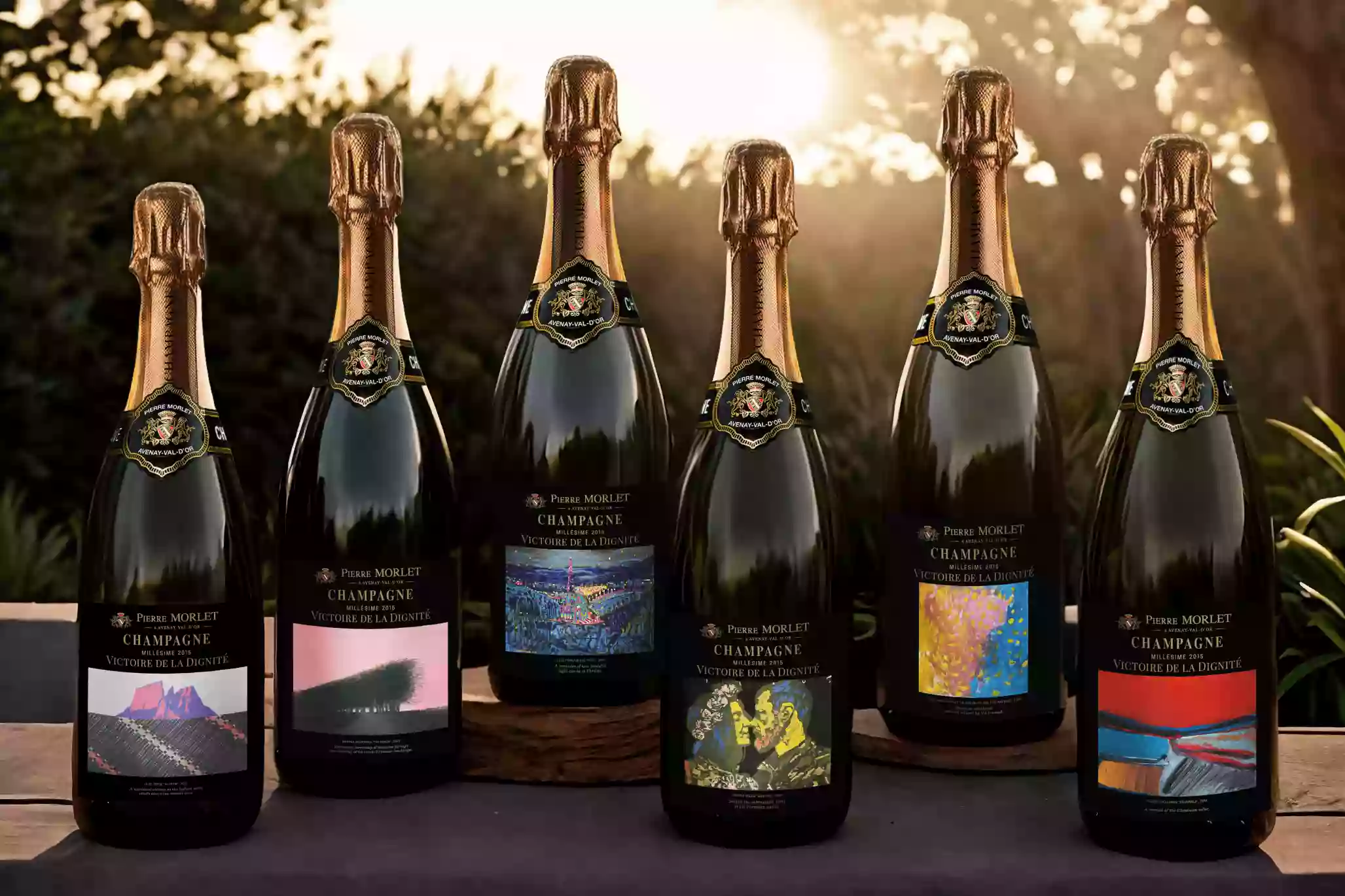 Перемога Гідності: французькі винороби створили шампанське для України, кошти з продажу якого спрямують на реабілітацію поранених військових
