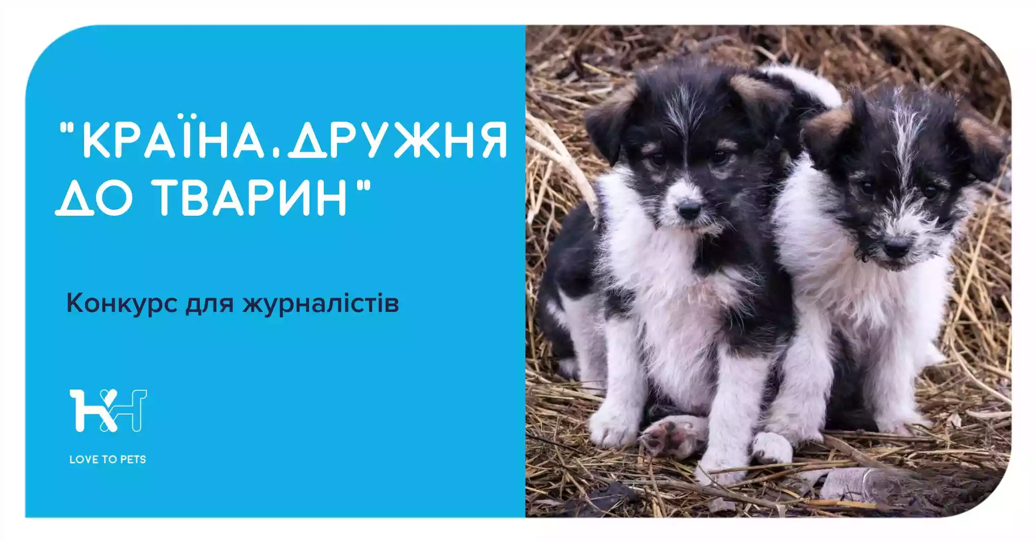 До 1 вересня &mdash; реєстрація на всеукраїнський конкурс журналістських матеріалів &laquo;Країна, дружня до тварин&raquo;