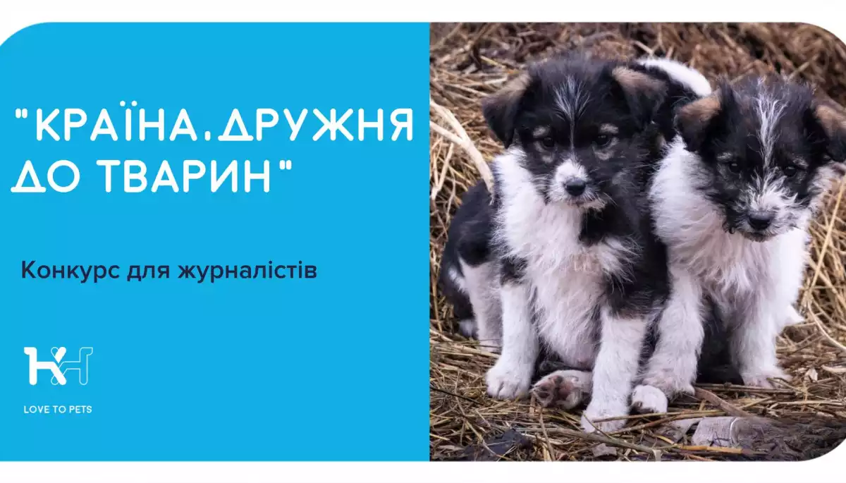 До 1 вересня — реєстрація на всеукраїнський конкурс журналістських матеріалів «Країна, дружня до тварин»